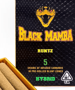 5-PACK BLACK MAMBA BOX - WONDERLAND