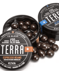 20-pack BITES - TERRA