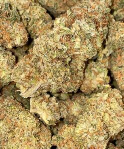 Red Bull Yellow Edition