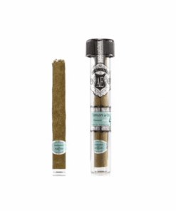 El Blunto By Albert Einstone’s | Tiffany & OG